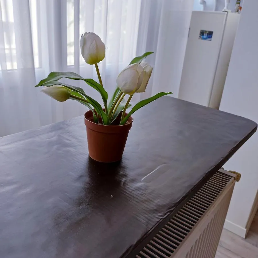 Garsoniera Centrul Bucurestiului Apartment